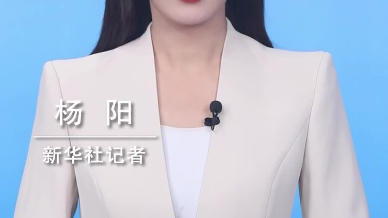 成都金融行业等级保护定制服务：安全合规的金融数据守护之道
